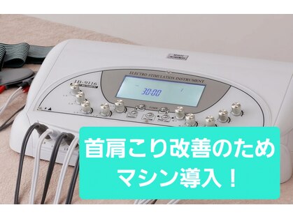 さくらの写真