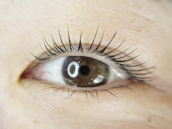 アイラッシュサロンラコタ 池袋東口店(RACOTA)/ラッシュリフト