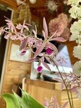 わたなべ整体院/