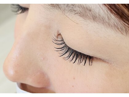 ドール(Doll)の写真