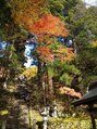 ビューティフィーサロン ベルル(Belulu) 戸隠の紅葉