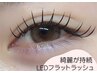 【8月限定】持続力1.5倍!!『LEDフラットラッシュ100本』コーティング付 ¥5000