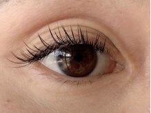 ヴィヴァーチェ アイアイ(Vivace i Eye)/フラットマットラッシュ　100本