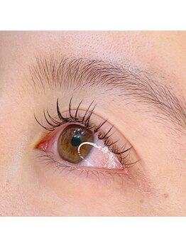 カピリナ(ka pilina)/フラットラッシュ 80本