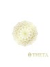 【THETA・回数券ご購入者様専用】ご予約