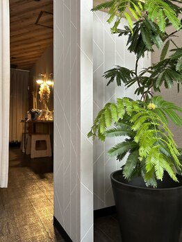 ザショウ(THE SHOW)/*シェービングエステ専門店*