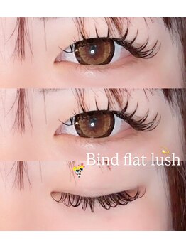 バンビズルーム(Bambi's Room)/バインドフラットラッシュ