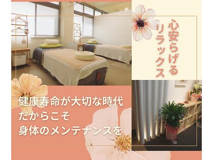 番町もくの木鍼灸院の写真