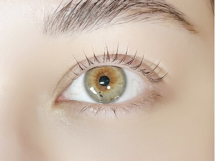 ダームドット(DAHM.)の写真