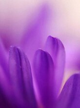 ファヴォリ(favori)&nbsp;favori 