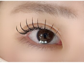 バタフライ 川崎店(Butterfly)/フラットラッシュ120本