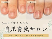 ニコプラス 大橋店(NICO+)