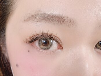 アウリイ(aulii)/ダークブラウン×カーキブラウン