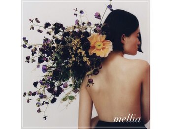 メリア(Mellia)