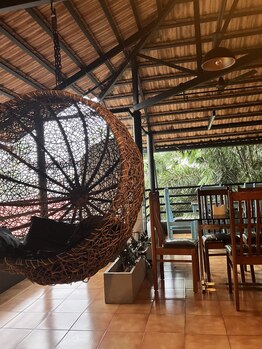 エステティックミレイ(Aesthetic Mirei)/インド/グリーンズ/スクール