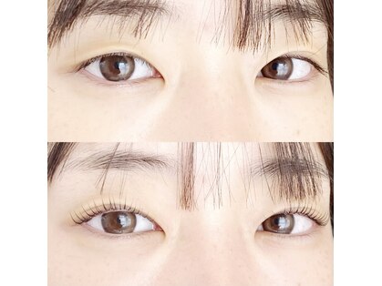 Rの写真