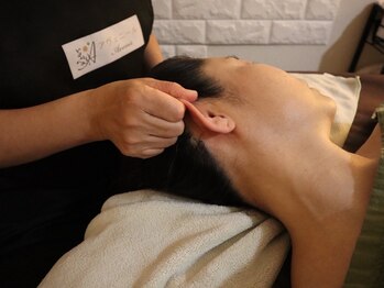 アヴェニール タチカワ(Avenir)/ヘッドセラピー【腸・脳】