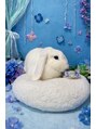 クマの冬眠 南川添店&nbsp;うちのウサギです！気が強いのでよく猫と喧嘩して勝ちます
