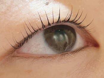 カラン 焼津店(CALIN)/ラスティングカール