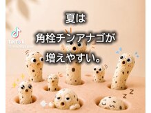 トコロティエ(tocorotie)の雰囲気（吸引無しの毛穴洗浄♪優しい施術でニキビ/汚れ/美白/はり艶もUP）