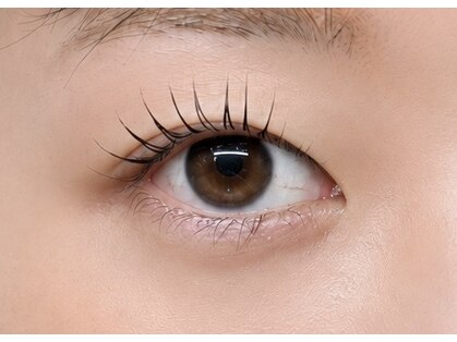 kmt(Space of Beauty)の写真