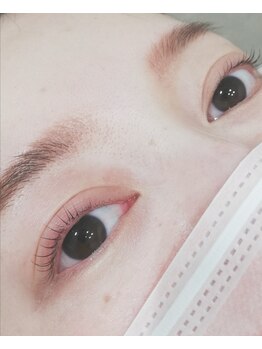 エネアイラッシュ(ene eyelash)/アップワードリフトまつ毛パーマ
