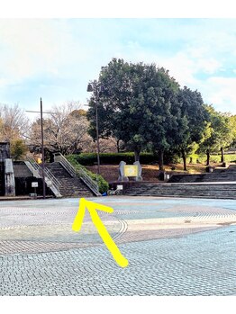 ぽかぽか整体/サロン道順１　中郷公園