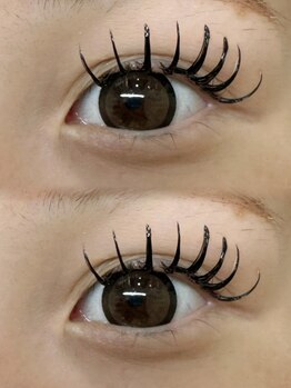 フルール(FLEUR)/バインドロック120束