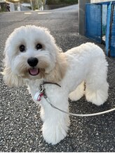 プッティ(Putti)&nbsp;Merry 