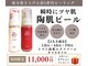 プルメリアの写真