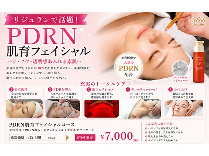 オートクチュール エステティックサロン シーズの写真