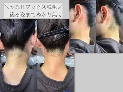 コモレビ(komorebi)の写真