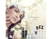 サロン デ モンターニユ(SALON DES montagnes)/