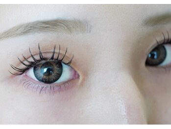 テイラー(Taylor)/【エクパ】120本 SONE