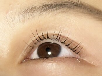 ノエル 下北沢(Noel)/マイラミネーション/マツパ