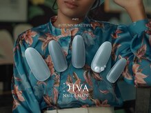 ディーバ 海老名店(Diva)/ワンカラープラス