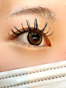 ティーエスエフビーエイト(T.S.F.B Eight)/LEDマツエク+まつパー