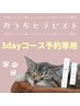 おうちセラピスト3day(2日目、3日目予約専用)