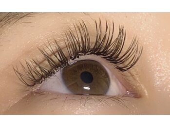 リビング(LIVING)/ダブルフラットラッシュ100束