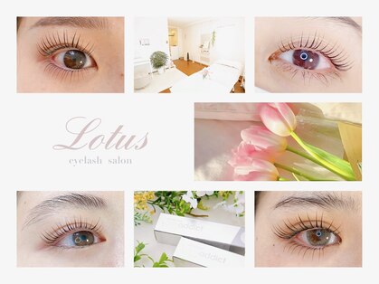 ロータス(Lotus)の写真