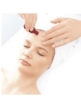 カトレア(Cattleya)