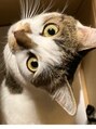 イザナイ 高知店(IZANAI) 猫が大好きです。保護猫2匹と生活しております。