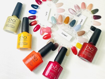 ポップ(POP!!)の写真