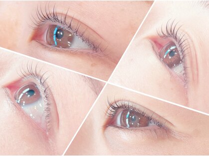 シャーム(scharm)の写真