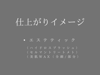 ザ ヴォーグ(the VOGUE)/THE VOGUE エステ