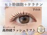 【ご新規様】【まつげパーマ】ヒト幹細胞＋ケラチン高持続ラッシュリフト(下)