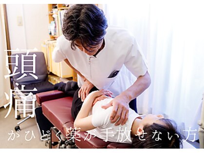 ヘンミの写真