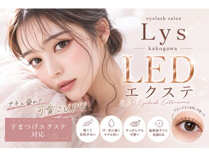リス(Lys)の写真