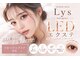 リス(Lys)の写真