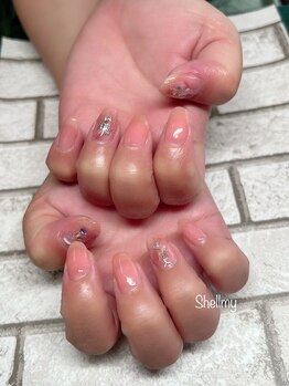 シェルミー(Shellmy)/定額シンプル